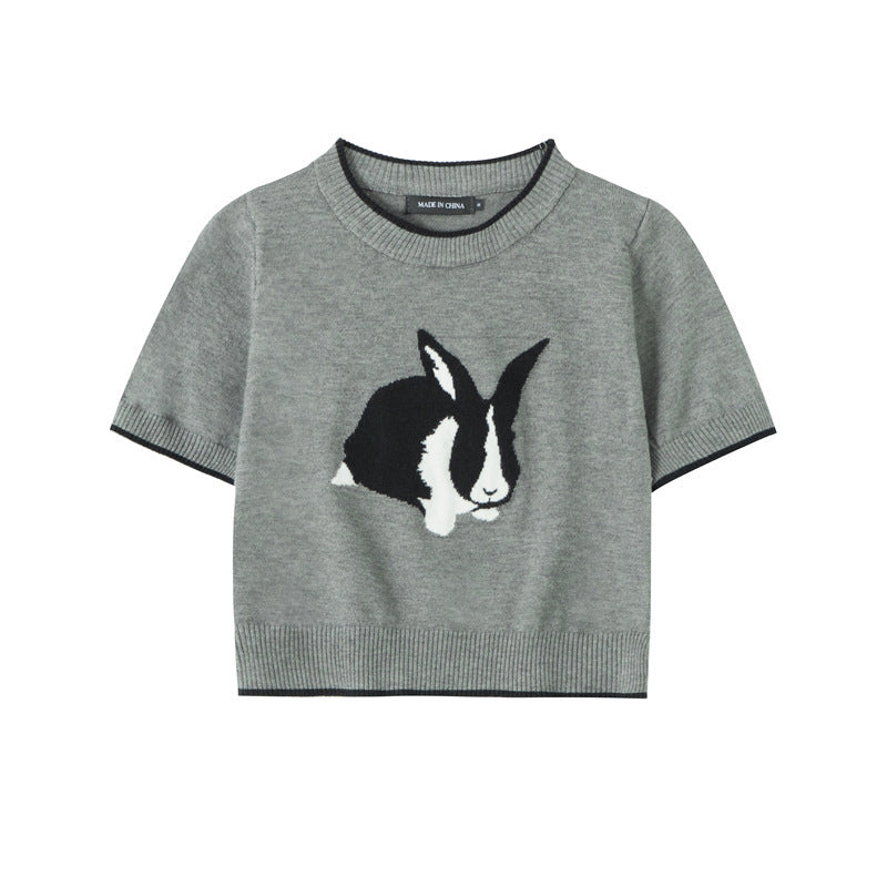 Rabbit Hot Girl Short Slimming Knitted T-shirt