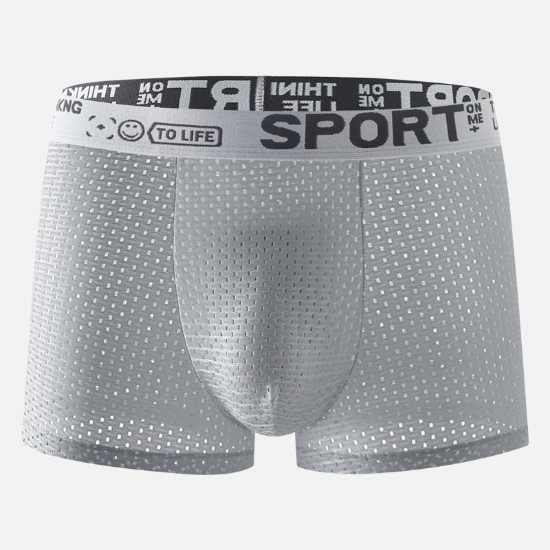 Men's Underwear Ice Silk Mesh Boxers