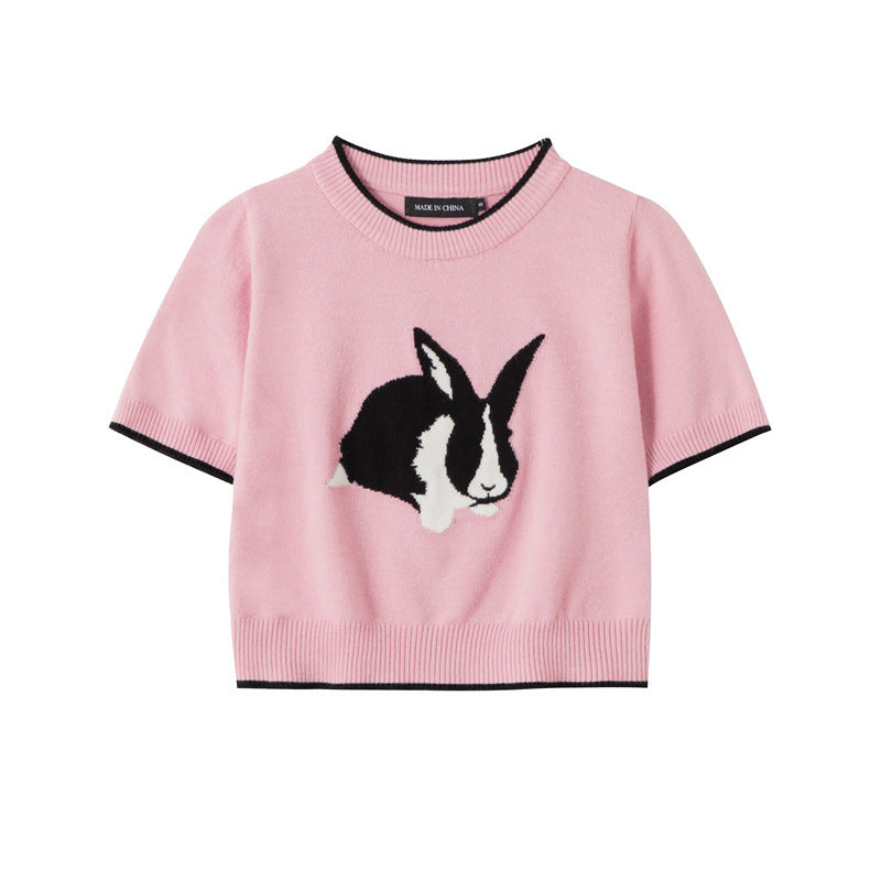 Rabbit Hot Girl Short Slimming Knitted T-shirt