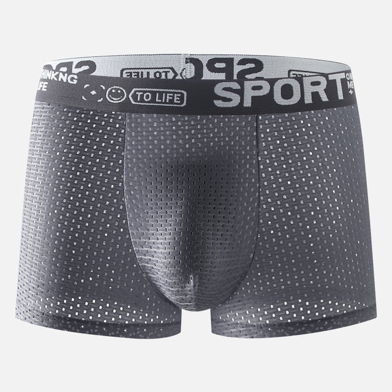 Men's Underwear Ice Silk Mesh Boxers